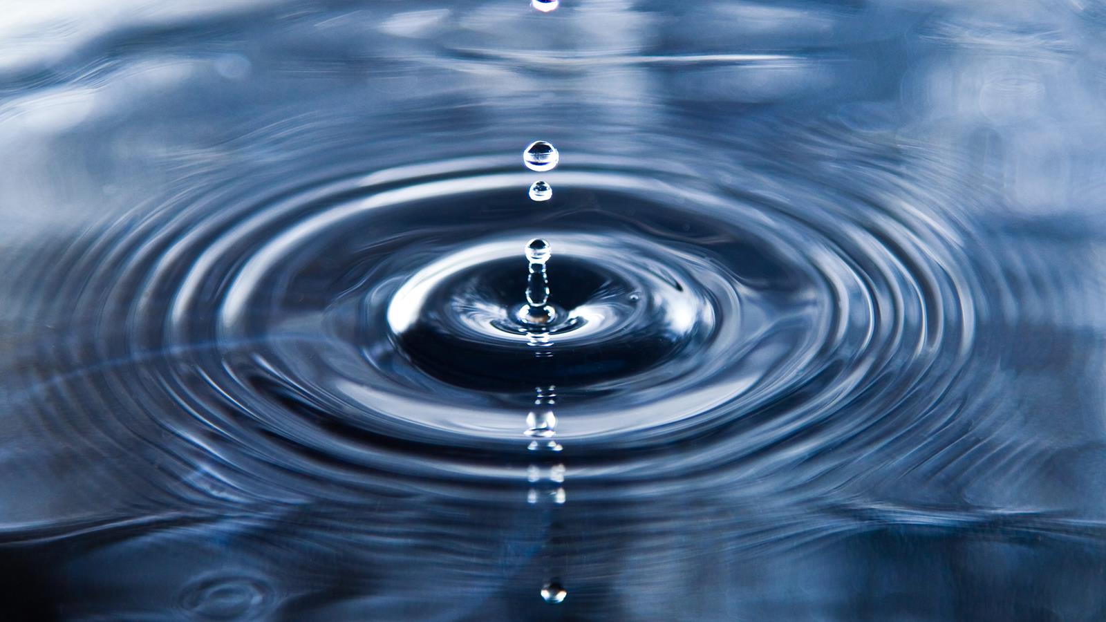 MXene Carbon-Ukraine company in MX-Innovation project RIC2D with Dreexl University and Khakifa University MXene Carbon-Ukraine company in MX-Innovation project RIC2D with Dreexl University and Khakifa University