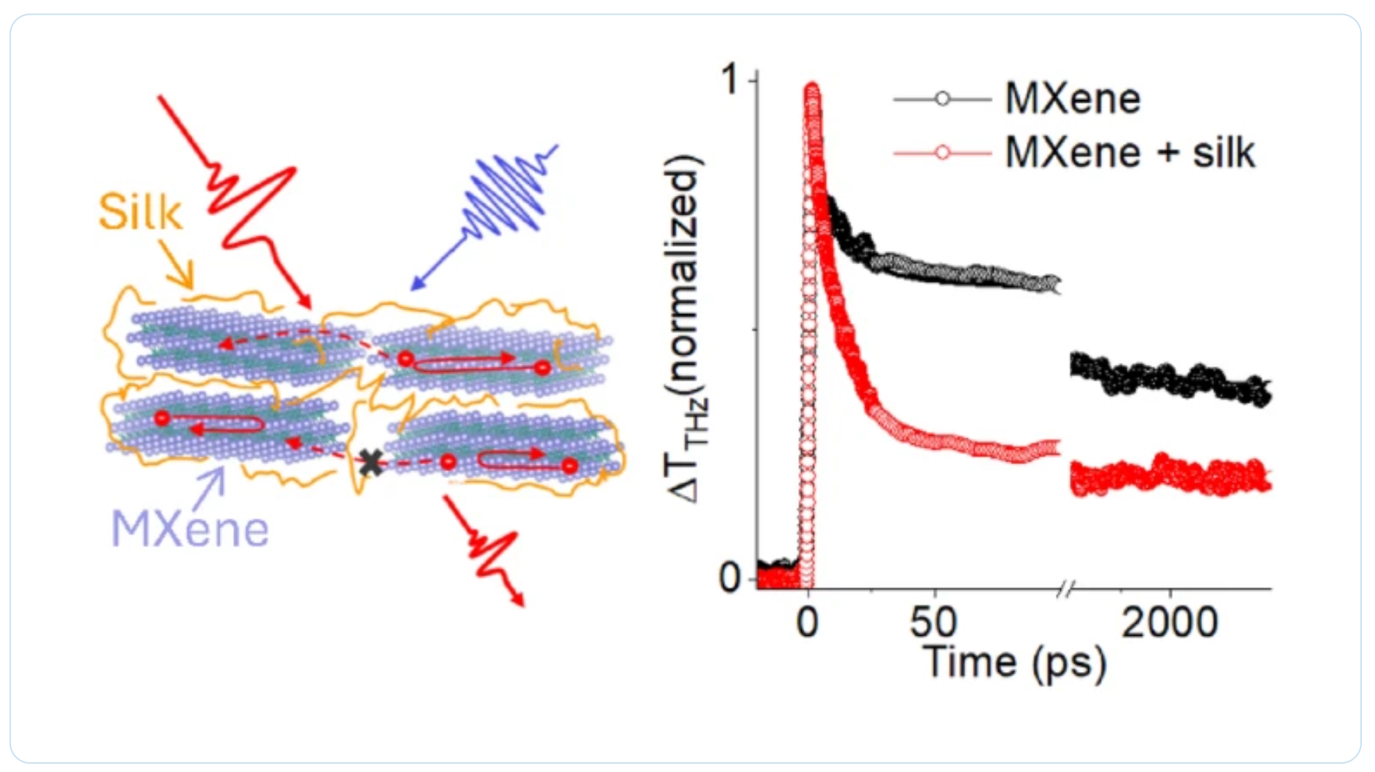 MXene-silk composite film study