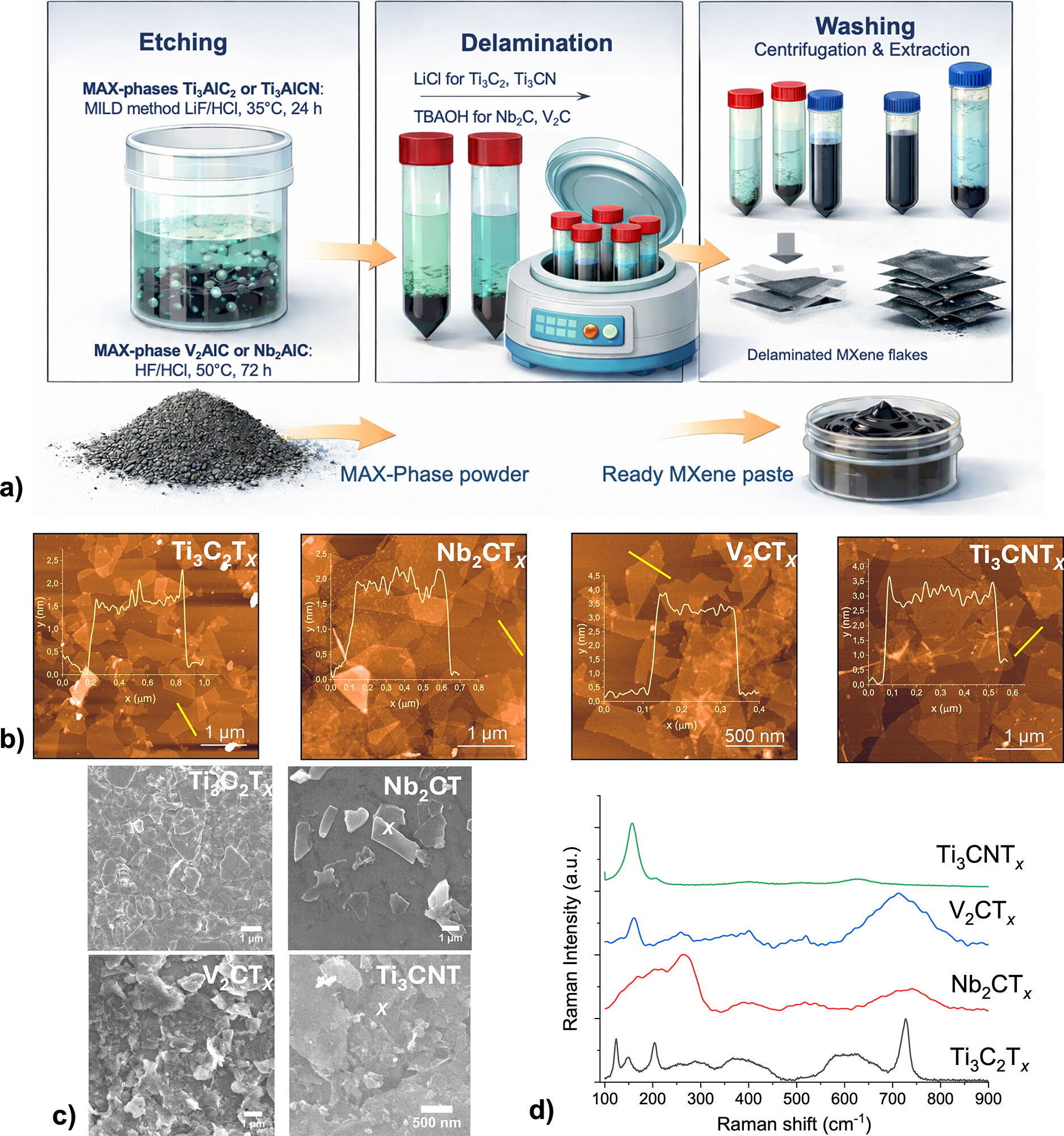  Scheme of MXene synthesis, including etching, delamination and washing steps; and materials characterization: (b) AFM images of the synthesized MXene samples (overlaid insets show height profiles of selected MXene flake); (c) SEM images; (d) Raman spectra of MXene samples.