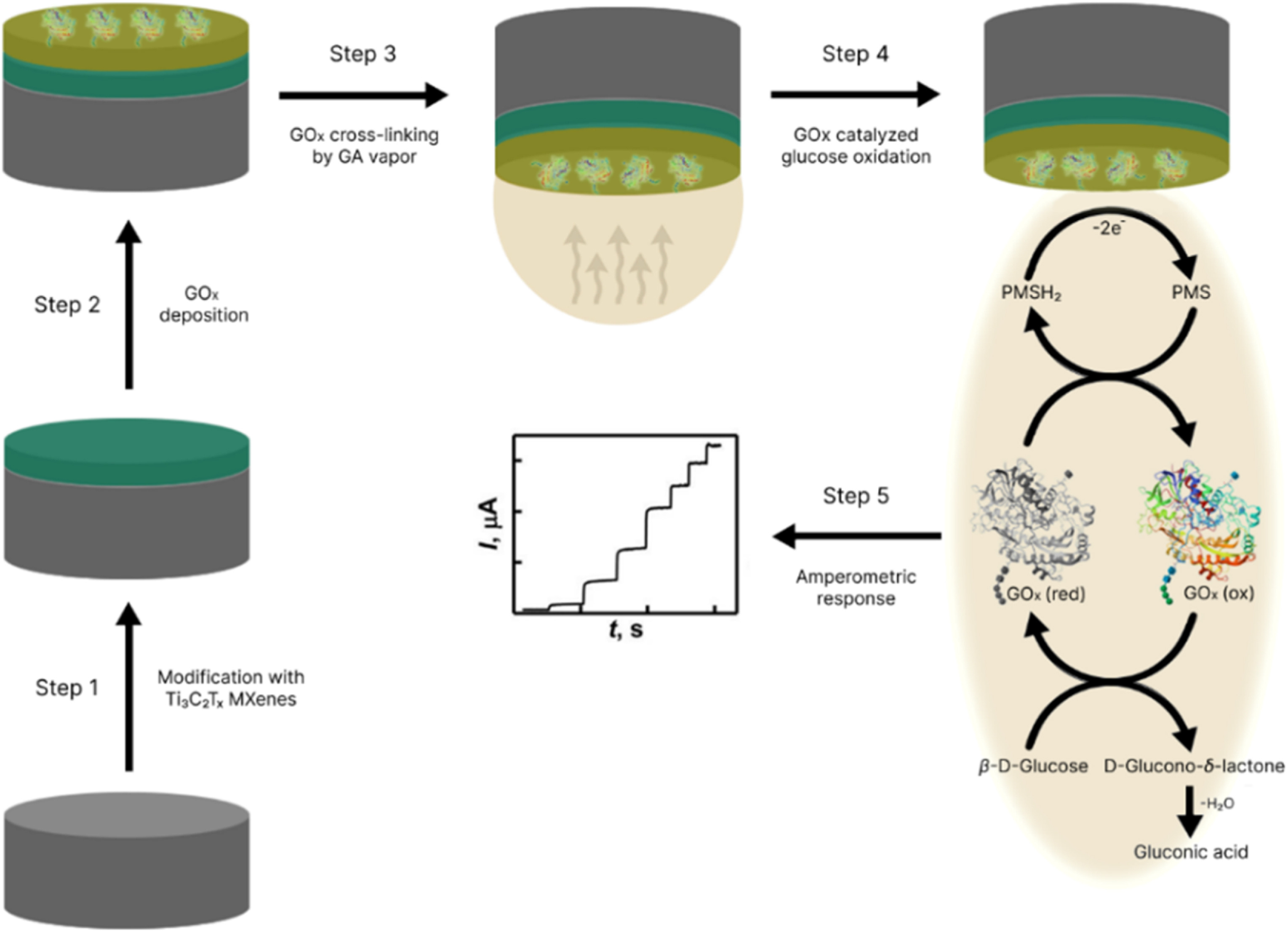 Schematic representation of working electrode development and electrochemical measurement of glucose concentration Schematic representation of working electrode development and electrochemical measurement of glucose concentration