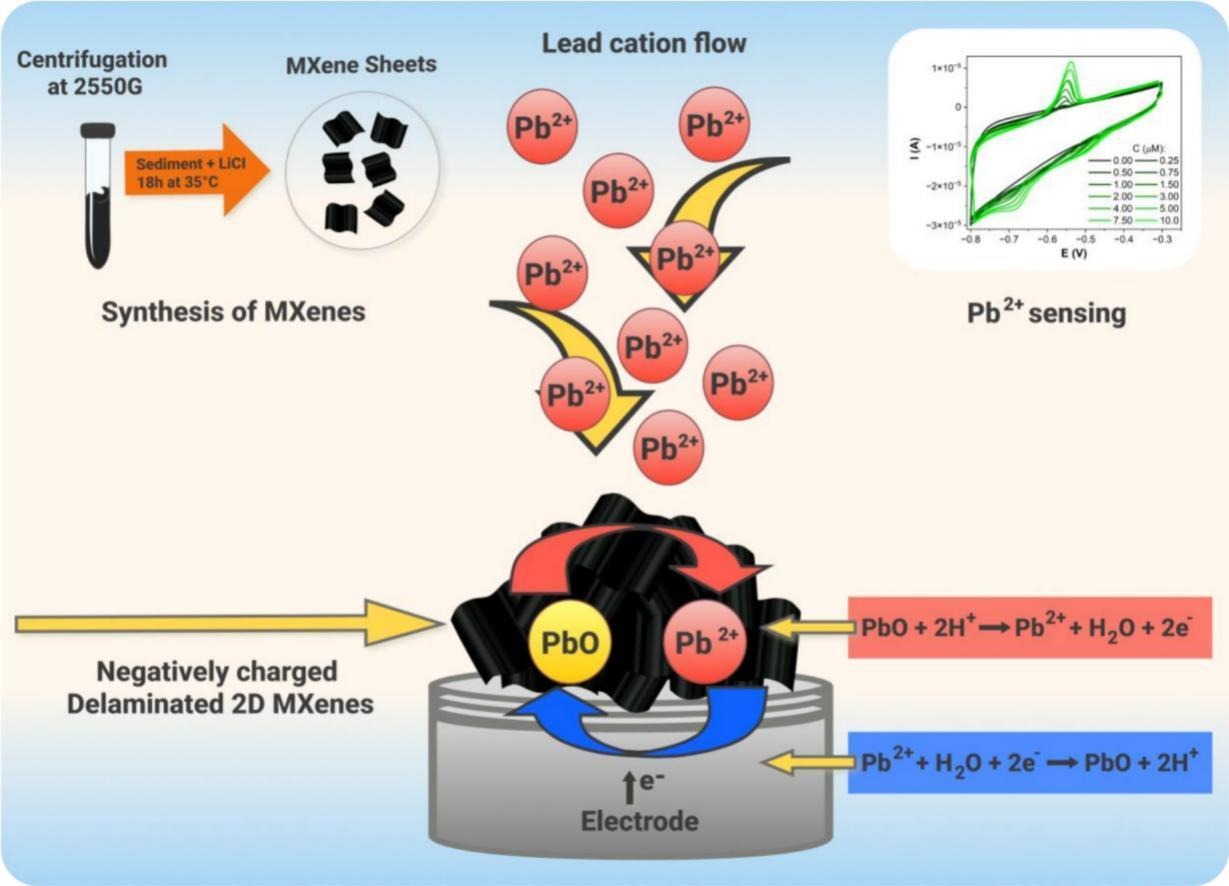 Action of MXene-modified electrode in sensor application Action of MXene-modified electrode in sensor application