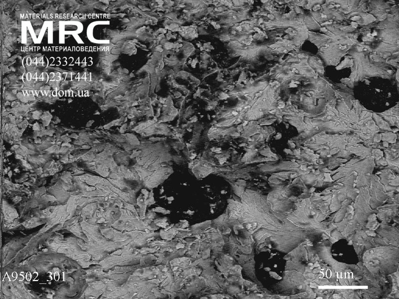 Исследование образца чугуна 