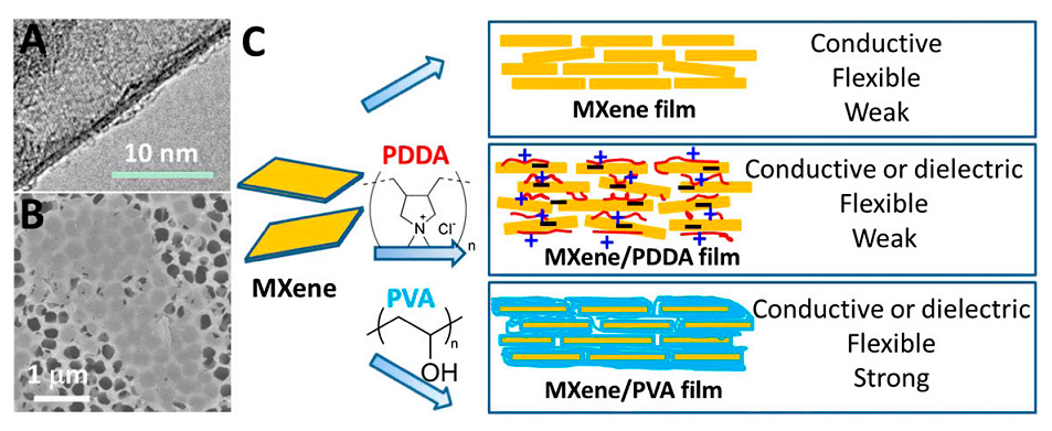 Fig. 1. (A) TEM and (B) SEM images of MXene flakes after delamination and before film manufacturing. (C) A schematic illustration of MXene-based functional films with adjustable properties. Fig. 1. (A) TEM and (B) SEM images of MXene flakes after delamination and before film manufacturing. (C) A schematic illustration of MXene-based functional films with adjustable properties.