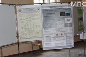 Poster Session of the Humboldt-Conference