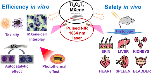 Development of tailored MXene PTT treatment targeting tumor cells. We demonstrate both low toxicity and good biocompatibility of this MXene in vitro, as well as a favorable safety profile based on the experiments in vivo.