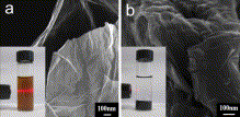 Fig. 1. FE-SEM image of GO with a free-standing sheets (a), inset demonstrates the Tyndall effect of GO. FE-SEM image of CCG nanosheets aggregated after removal of the functional groups (b). Inset picture shows the CCG nanosheets deposited at the bottom of the container. Fig. 1. FE-SEM image of GO with a free-standing sheets (a), inset demonstrates the Tyndall effect of GO. FE-SEM image of CCG nanosheets aggregated after removal of the functional groups (b). Inset picture shows the CCG nanosheets deposited at the bottom of the container.