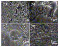 Fig. 2. SEM images of SiC etched with HF solutions in different solvents at fixed current densities 10 mA/cm2 (a) acetonitrile (b) acetone (c) water (d) isopropanol SEM фото карбида кремния травленого с фтористоводородной кислотой в разных растворителях при определенной плотности тока 10 мA/cм2 (a) ацетонитрил (b) ацетон (c) вода (d) изопропанол